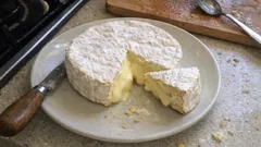 Camembert maison : la recette pas à pas pour une croûte fleurie bien blanche